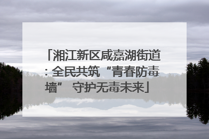 湘江新区咸嘉湖街道：全民共筑“青春防毒墙” 守护无毒未来
